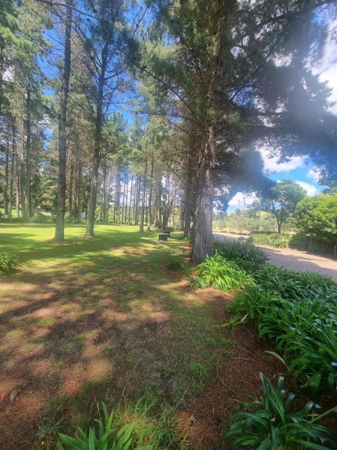 Savana Estate Poukawa Exterior foto